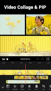 Video Maker preview 8